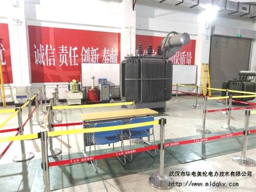 國家電網公司